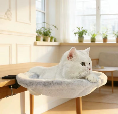 NubeCat